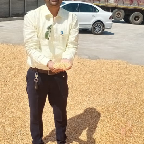 Maize Process