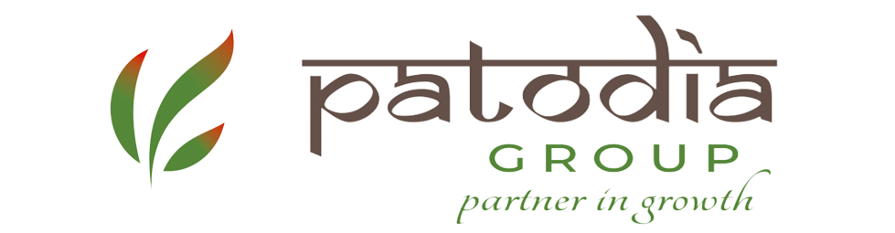 Patodia Groups